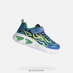 băiat asistent 2R8RL1944 regal/verde Geox