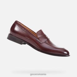 saymore om 2R8RL752 abanos Geox