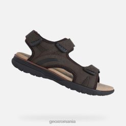 spherica ec5 man 2R8RL838 cafea Geox