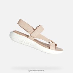 spherica ec5w femeie 2R8RL127 nud Geox